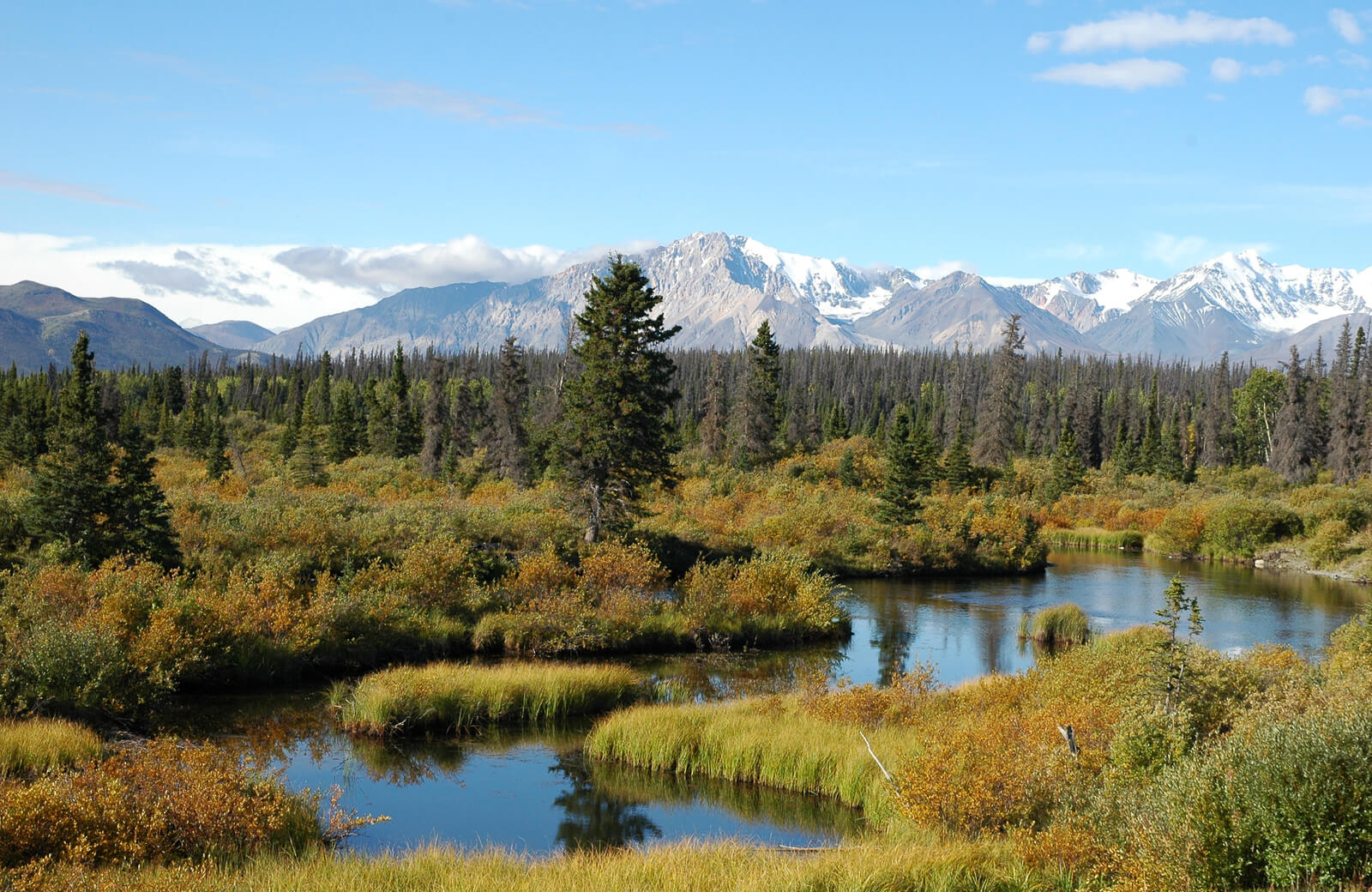 Shutterstock Wetlands